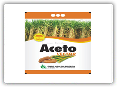 aceto-vector-1